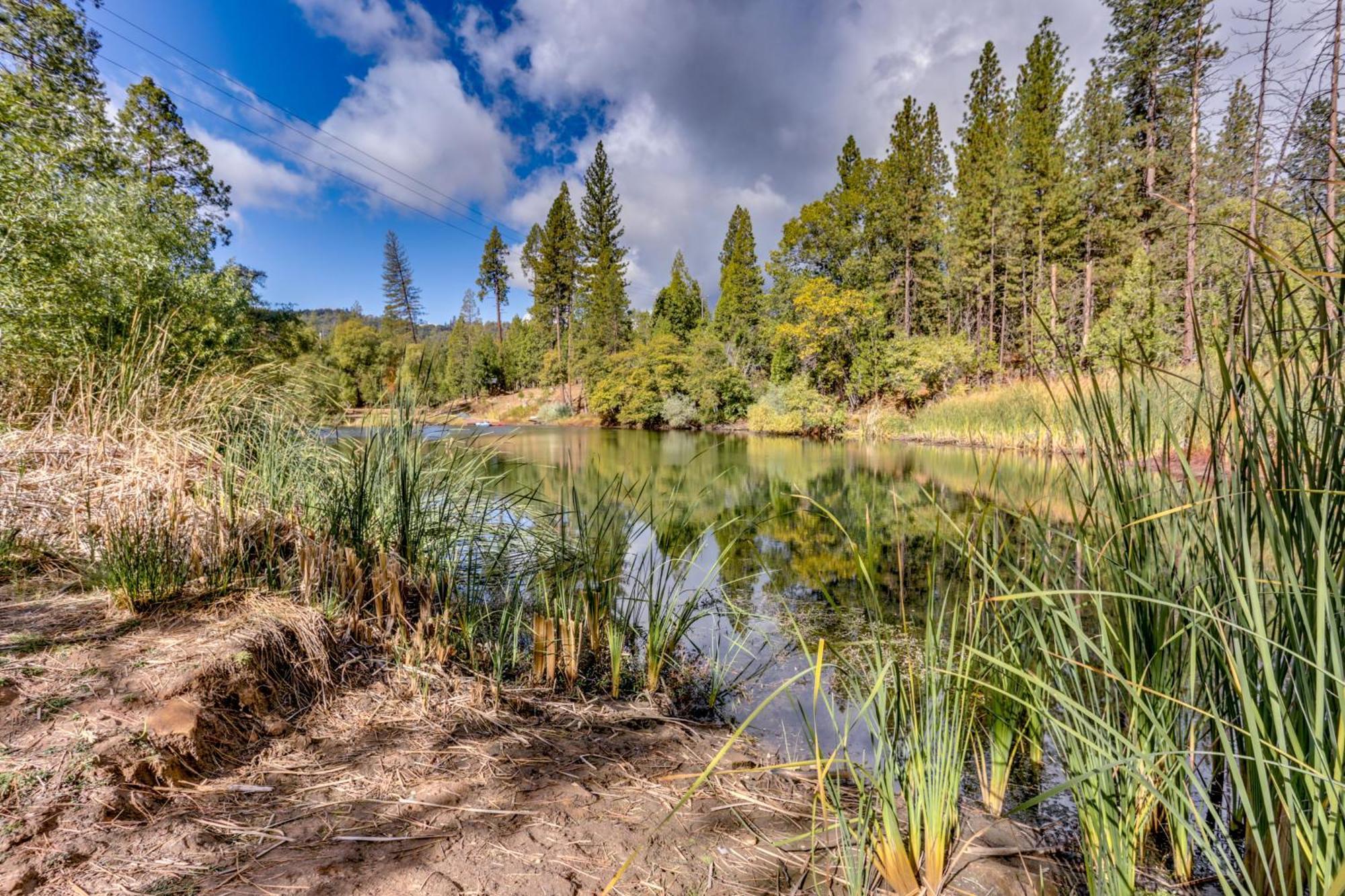Pet-Friendly Escape With Game Room And Fire Pit! North Fork Buitenkant foto